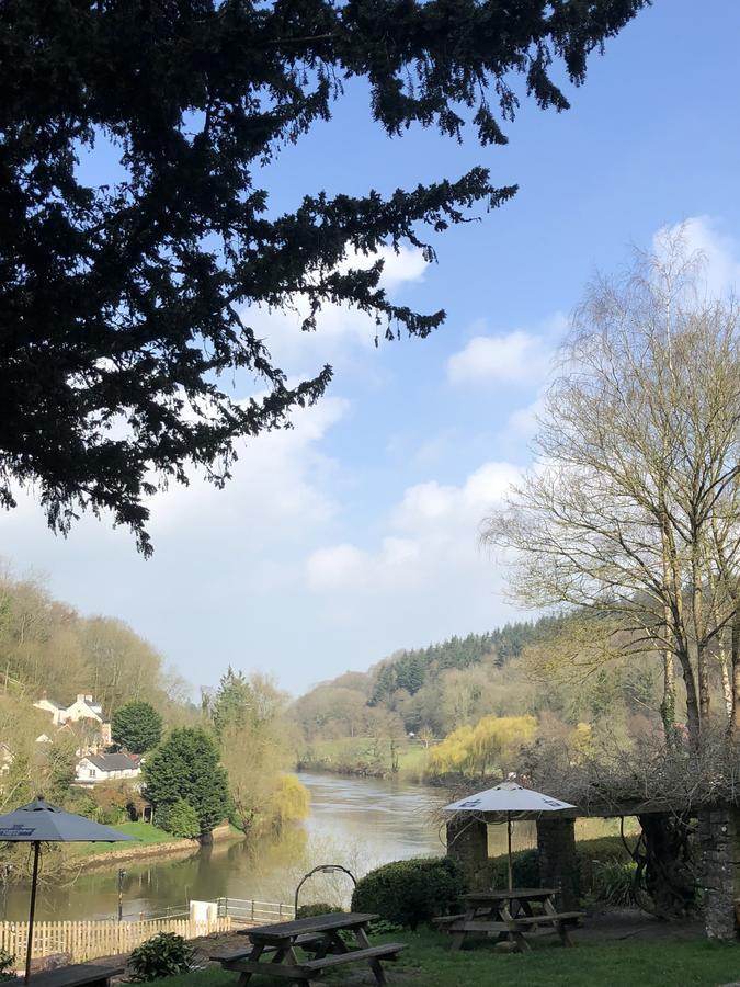 Royal Lodge Symonds Yat Eksteriør billede