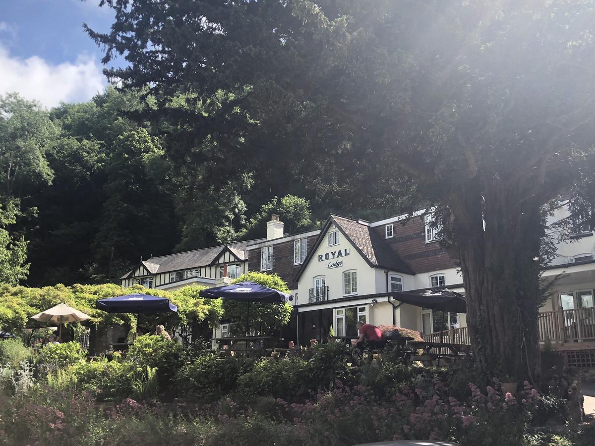 Royal Lodge Symonds Yat Eksteriør billede
